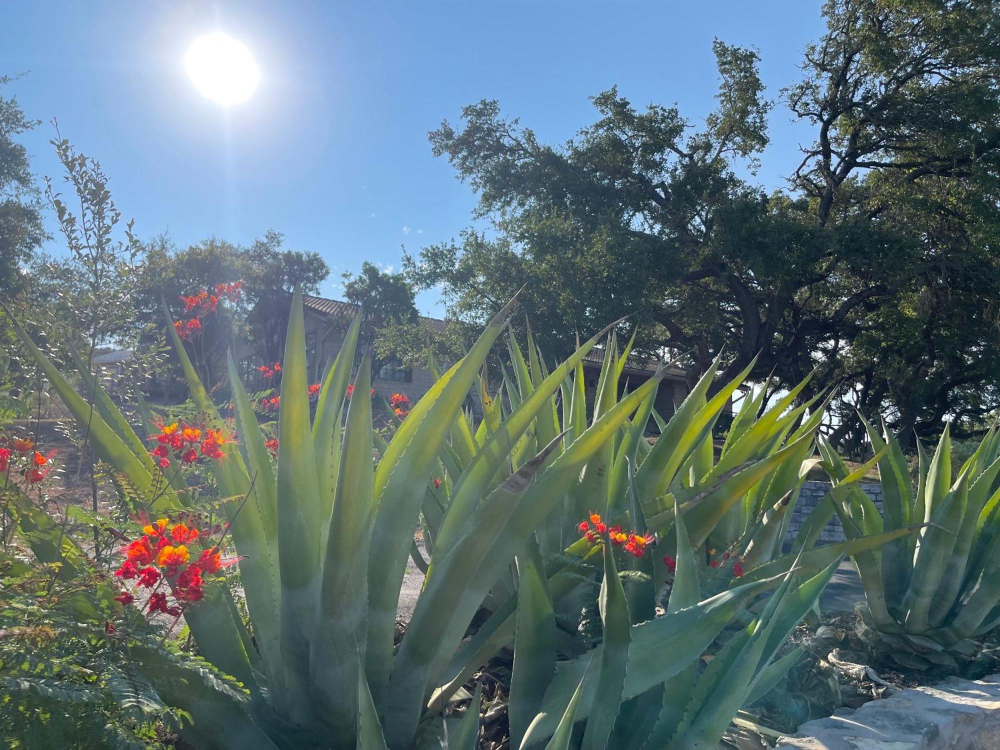 ווימברלי Blair House Inn And Spa מראה חיצוני תמונה
